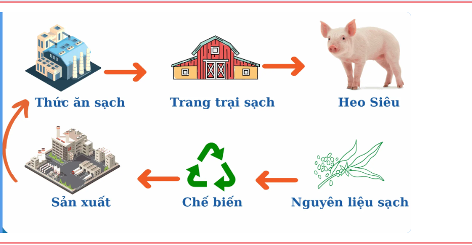 Moscow Feed quy trình sản xuất thức ăn khép kín và an toàn Quy trình sản xuất khép kín
