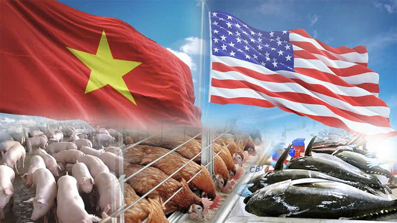 Thức Ăn Chăn Nuôi Việt Nam Vươn Tầm Thu Hút Khách Hàng Nước Ngoài Và Đối Tác Tiềm Năng