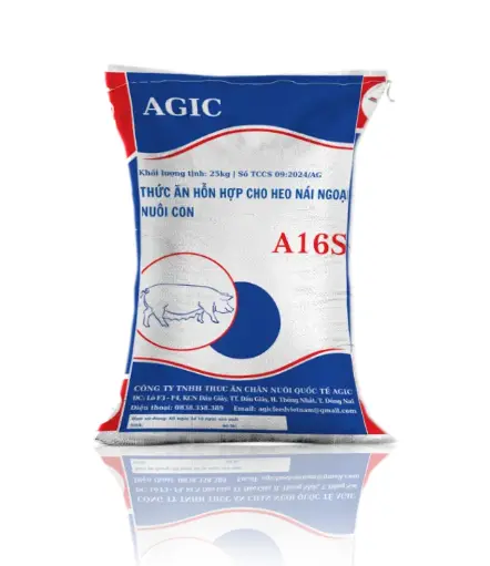 A16